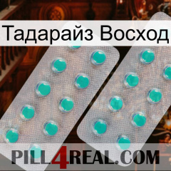 Тадарайз Восход 29